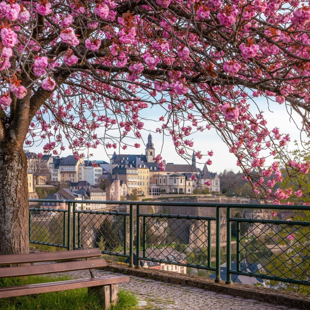 SPRING GETAWAY